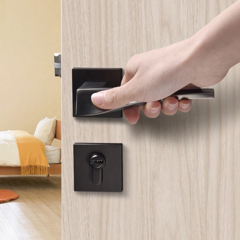 Office Luxury Silver Satin Black Nickel Door Handles Z104133 3 Office Luxury Silver Satin Black Nickel Door Handles Z104133 - وێنە 3